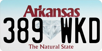 AR license plate 389WKD