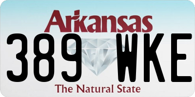 AR license plate 389WKE