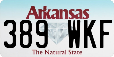 AR license plate 389WKF