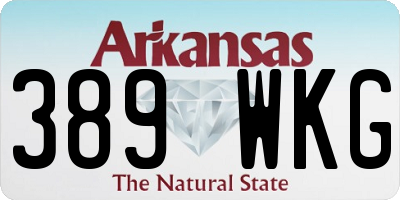 AR license plate 389WKG