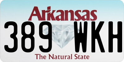 AR license plate 389WKH