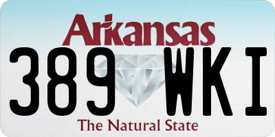 AR license plate 389WKI