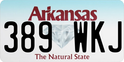 AR license plate 389WKJ