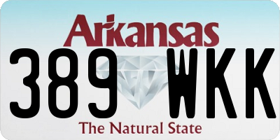 AR license plate 389WKK
