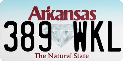 AR license plate 389WKL
