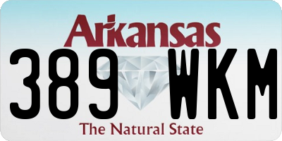 AR license plate 389WKM