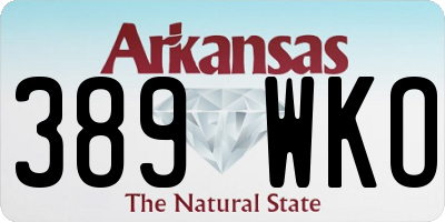 AR license plate 389WKO