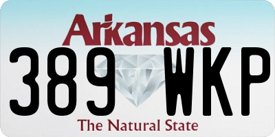 AR license plate 389WKP