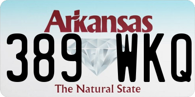 AR license plate 389WKQ