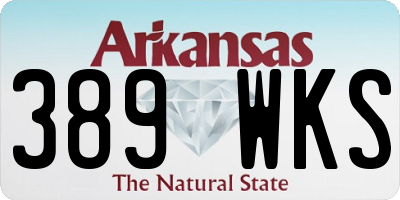 AR license plate 389WKS