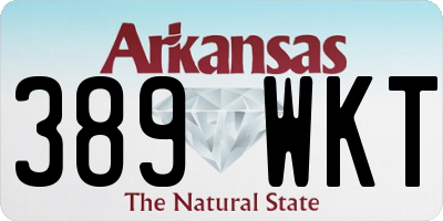 AR license plate 389WKT