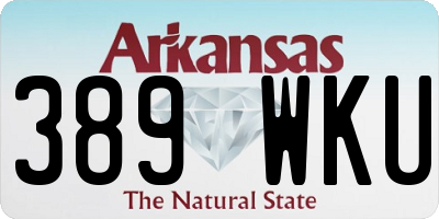 AR license plate 389WKU