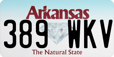 AR license plate 389WKV