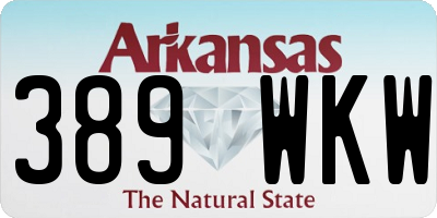 AR license plate 389WKW