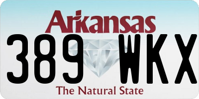 AR license plate 389WKX