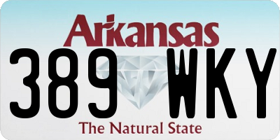 AR license plate 389WKY