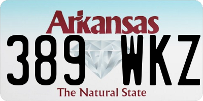 AR license plate 389WKZ