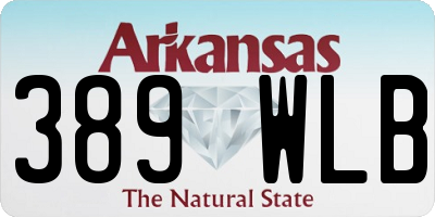 AR license plate 389WLB