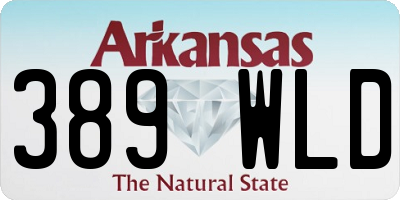 AR license plate 389WLD