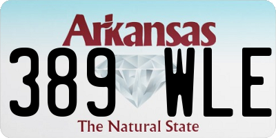 AR license plate 389WLE