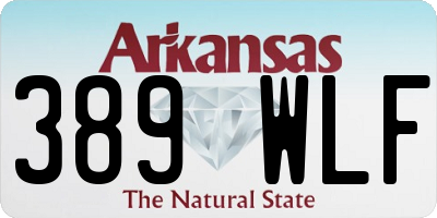 AR license plate 389WLF