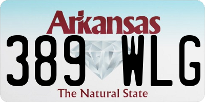 AR license plate 389WLG
