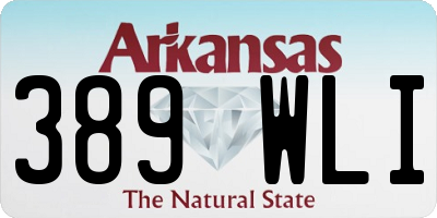 AR license plate 389WLI