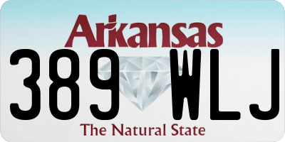 AR license plate 389WLJ