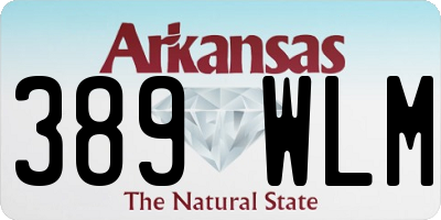 AR license plate 389WLM