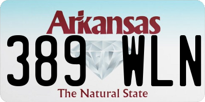 AR license plate 389WLN