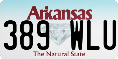 AR license plate 389WLU