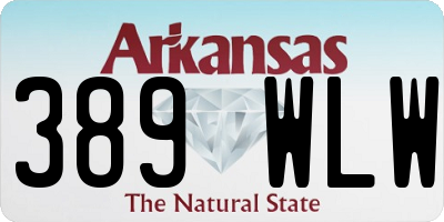 AR license plate 389WLW