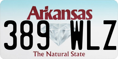 AR license plate 389WLZ