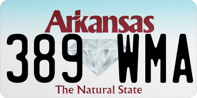 AR license plate 389WMA