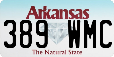 AR license plate 389WMC