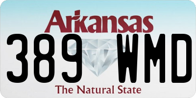 AR license plate 389WMD