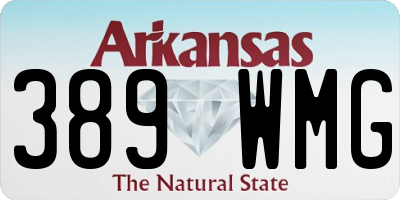 AR license plate 389WMG