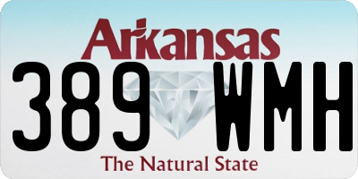 AR license plate 389WMH