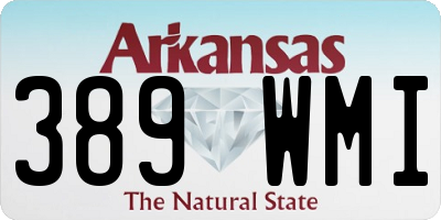 AR license plate 389WMI