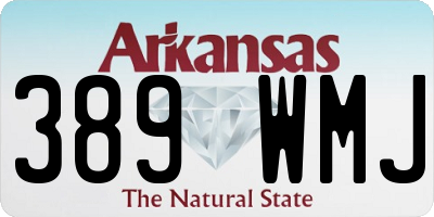 AR license plate 389WMJ