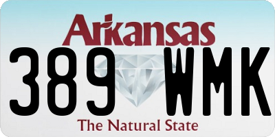 AR license plate 389WMK