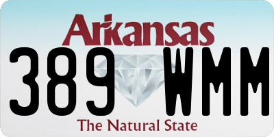 AR license plate 389WMM