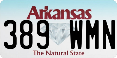 AR license plate 389WMN