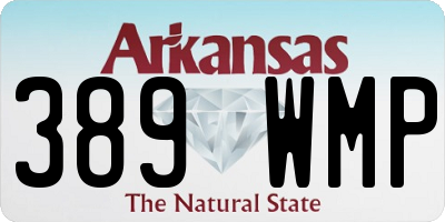 AR license plate 389WMP