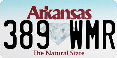 AR license plate 389WMR