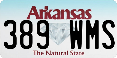 AR license plate 389WMS