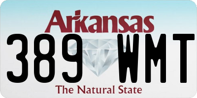 AR license plate 389WMT