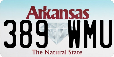 AR license plate 389WMU
