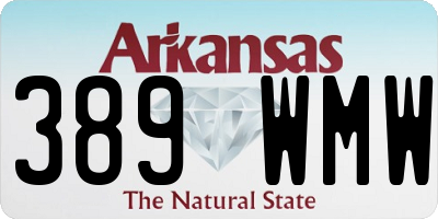 AR license plate 389WMW