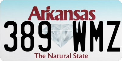 AR license plate 389WMZ